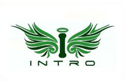 intro 1